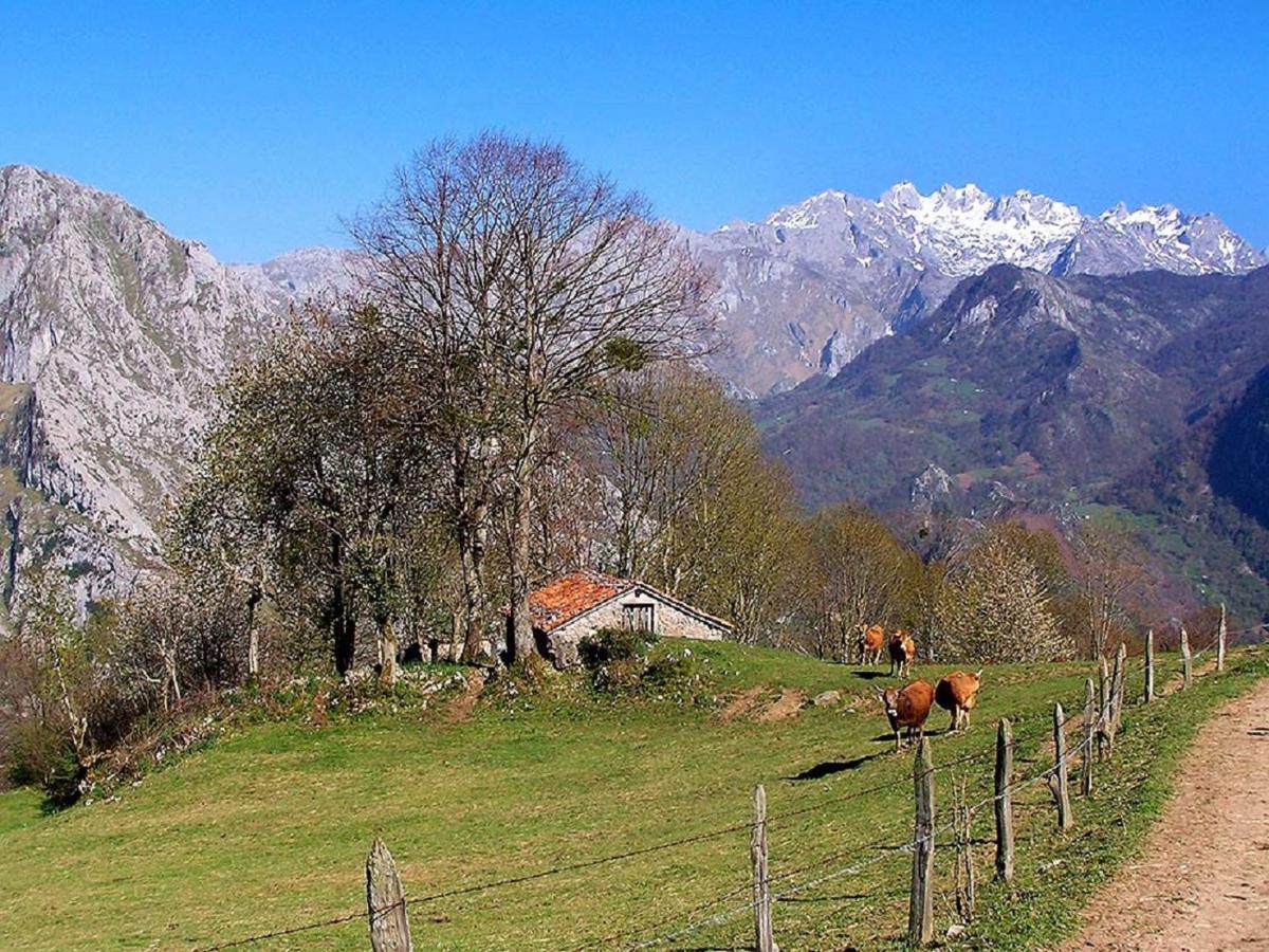 La Casona De Sames Vendégház Kültér fotó